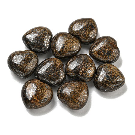 Natural Bronzite Beads G-P531-A23-01-1