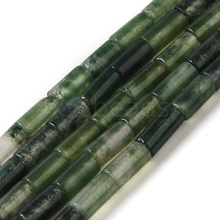 Natural Moss Agate Beads Strands G-B091-A10-01-1