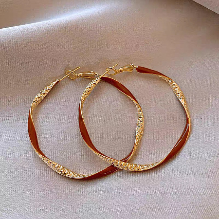 Alloy Enamel Hoop Earrings FS-WG76269-01-1