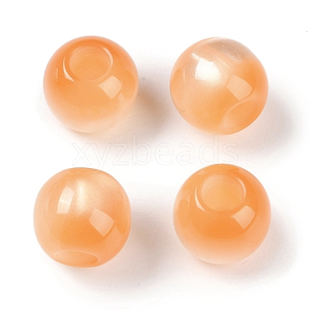 Resin European Beads RESI-F055-02D-1