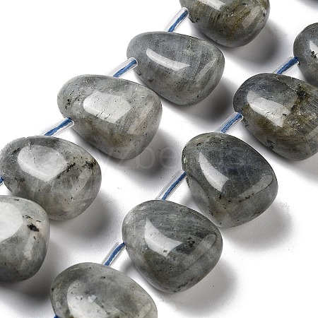 Natural Labradorite Beads Strands G-P528-E10-01-1