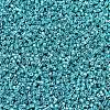 MIYUKI Delica Beads SEED-JP0008-DB0427-3