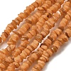 Natural Freshwater Shell Beads SHEL-B003-01H-1