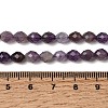 Natural Amethyst Beads Strands G-K376-F03-01-5
