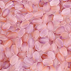 Frosted Glass Seed Beads SEED-N008-05C-3