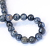 Natural Sodalite Round Bead Strands X-G-E334-4mm-16-4