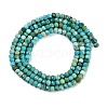 Natural Turquoise Dyed Beads Strands G-H070-A02-01-3