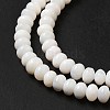 Natural Freshwater Shell Beads Strands BSHE-E026-15A-02-4