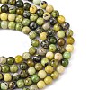 Natural Serpentine Beads Strands X-G-N166-4-2