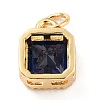 Real 18K Gold Plated Brass Inlaid Cubic Zirconia Charms ZIRC-L100-073G-3