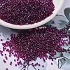 MIYUKI Delica Beads SEED-MY11-DB1747-1