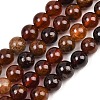 Natural Garnet Beads Strands G-H300-A01-01-2