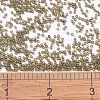MIYUKI Delica Beads SEED-X0054-DB0384-4