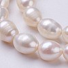 Natural Cultured Freshwater Pearl Beads Strands PEAR-P002-55-01-3