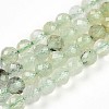 Natural Prehnite Beads Strands G-S345-6mm-28-1