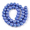 Electroplate Opaque Glass Beads Strands GLAA-T032-P10mm-AB11-2