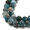 Natural Apatite Beads Strands G-K185-02-4MM-01-4