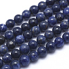 Natural Sodalite Beads Strands G-K224-01-10mm-1