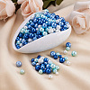 Cheriswelry 12 Strands 12 Style Baking Painted Pearlized Glass Pearl Round Bead Strands HY-CW0001-02-5