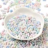 Opaque Colours Luster Glass Seed Beads SEED-B001-01A-06-2