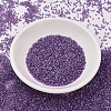 MIYUKI Delica Beads SEED-MY11-DB1754-2