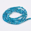 Natural Apatite Beads Strands G-F568-135-3mm-2