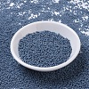 MIYUKI Round Rocailles Beads SEED-X0054-RR2038-2