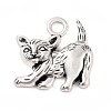 Tibetan Style Alloy Pendants FIND-Q098-02AS-1