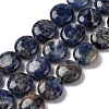 Natural Sodalite Beads Strands G-C159-A09-01-1