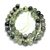 Natural Prehnite Beads Strands G-K224-03-10mm-2