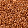 TOHO 11/0 Round Beads SEED-XTR11-0162CF-2