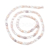 Gradient Color Electroplate Glass Bead Strands X-GLAA-E042-01E-2