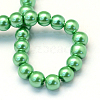 Baking Paint Pearlized Glass Pearl Round Bead Strands X-HY-Q003-6mm-69-4