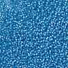 MIYUKI Round Rocailles Beads X-SEED-G008-RR0573-4