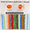 16 Strands 16 Colors Glass Beads Strands EGLA-PA0001-37A-2