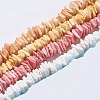 Natural Sea Shell Beads Strands BSHE-K012-08-01-1