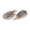 Natural Labradorite Faceted Pendants G-Q606-104G-04-2