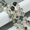 Natural Green Lodolite Quartz/Garden Quartz Beads Strands G-Q010-A18-01-2