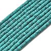 Dyed Synthetic Turquoise Beads Strands G-Z089-A04-O-3