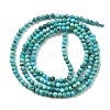 Natural HuBei Turquoise Beads Strands G-B130-A01-01-5