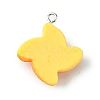 Opaque Resin Imitation Food Pendants RESI-R436-04E-2