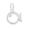 925 Sterling Silver Hollow Fish Charms with Jump Rings STER-E071-01S-09-1