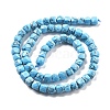 Natural Turquoise Beads Strands G-C179-B24-01-3