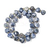 Natural Blue Spot Jasper Beads Strands G-U023-A05-01-3