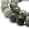 Natural Labradorite Bead Strands X-G-P256-01-4mm-3
