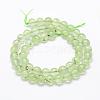 Natural Prehnite Beads Strands G-P322-47-10mm-2