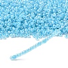 8/0 Glass Seed Beads X1-SEED-A011-3mm-143-2