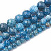 Natural Apatite Beads Strands G-S333-8mm-012-2