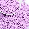Baking Paint Glass Seed Beads X1-SEED-K010-A22-1