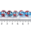 Handwork Lampwork Enamel Beads GLAA-B021-02-4